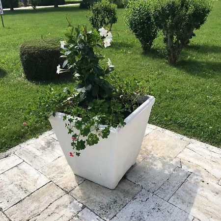 Brama Aprilia Marittima